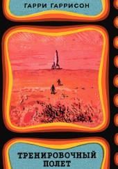 Тренировочный полёт